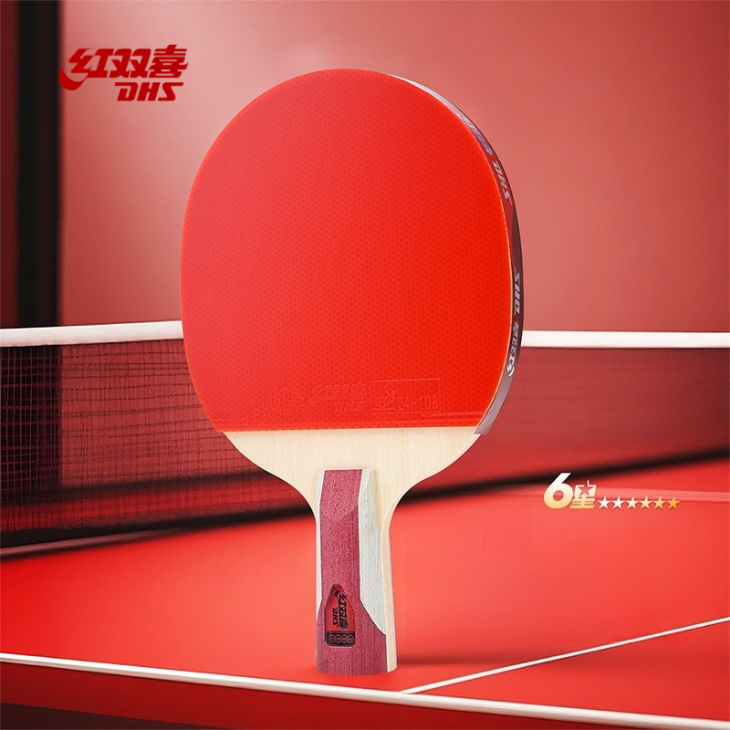 Table Tennis Champion - DHS 卓球ラケット ハリケーン 3 + ティン