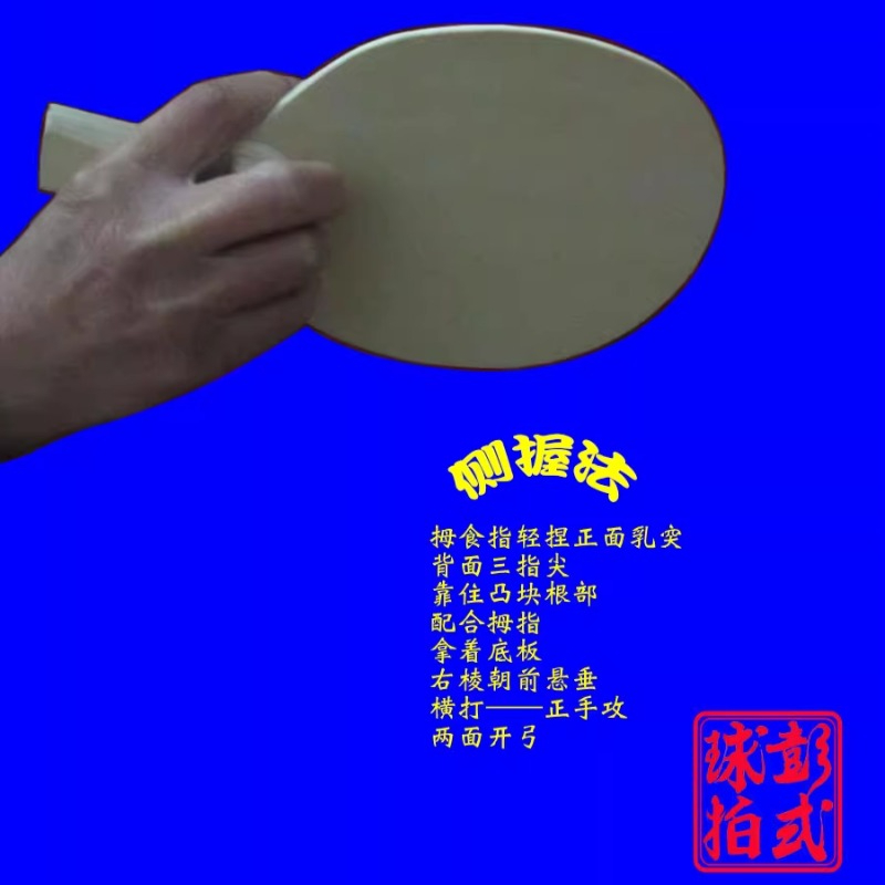 中国/和風卓球ラケットプロレベルの不規則な形状のピンポンパド - Table Tennis Umpire のレビューと価格