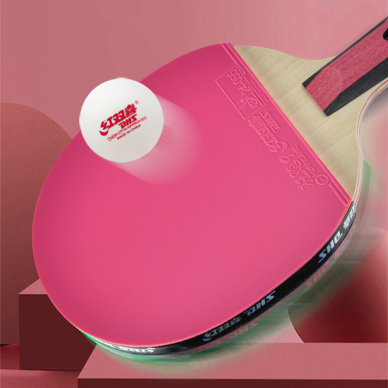 DHS 6 スターテーブルテニスラケットプロフェッショナルピ - Table Tennis Champion のレビューと価格